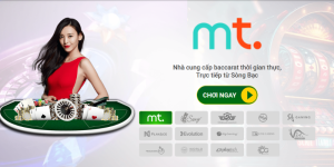 MT Casino Là Gì? Lý Do Khiến Nhiều Bet Thủ Lựa Chọn